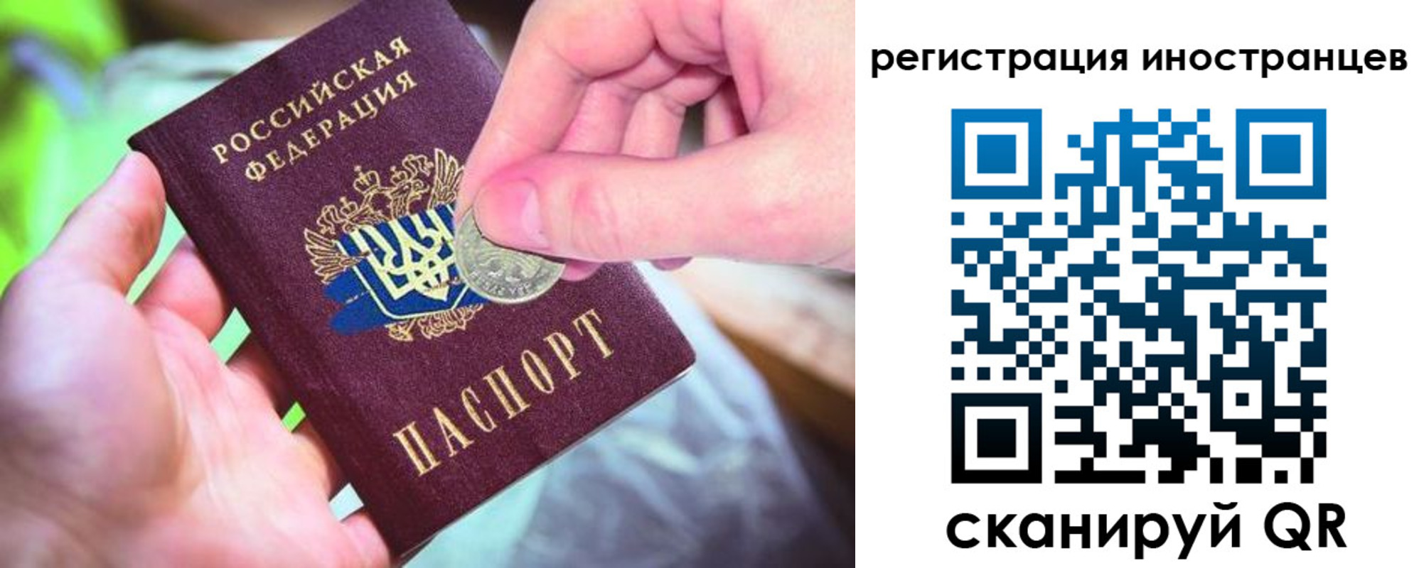прописка для работы в Тереке